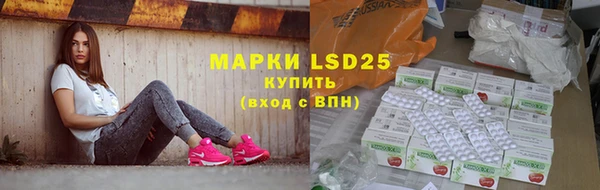 индика Алзамай
