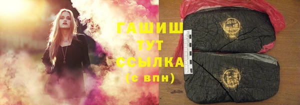 индика Алзамай