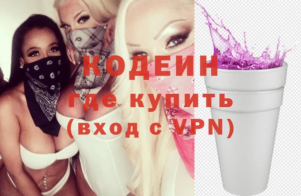 индика Алзамай
