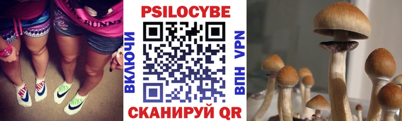 дарнет шоп  Петрозаводск  Псилоцибиновые грибы мухоморы 